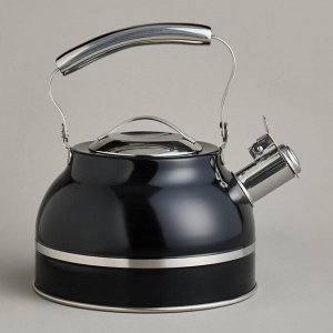 Чайник Premium Steel 2.7L со свистком и термоаккумулирующим дном для индукции, 1 шт.