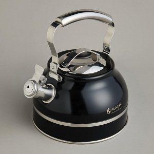 Чайник Premium Steel 2.7L со свистком и термоаккумулирующим дном для индукции, 1 шт.