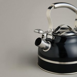 Чайник Premium Steel 2.7L со свистком и термоаккумулирующим дном для индукции, 1 шт.