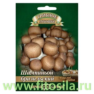 Шампиньон Бразильский на зерновом субстрате, больш. пак. 15 мл (семена для проращивания)
