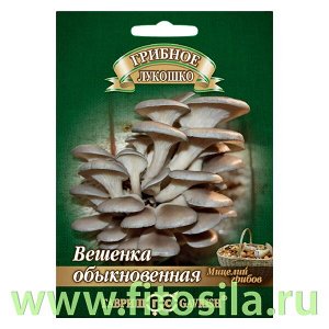 Вешенка Обыкновенная на древесной палочке, больш. пак. 12 шт  (семена для проращивания)