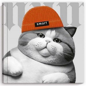 Блокнот 105х105 мм 48л "Notebook.КОТ В ШАПОЧКЕ" 70123 Феникс