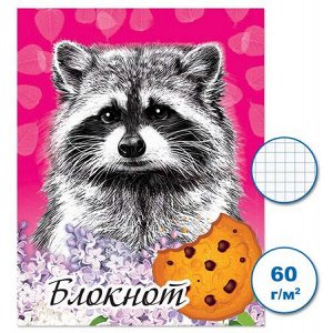 Блокнот 70х90 мм 16л клетка "Енотики 1" Бс16/48-1 Гранит
