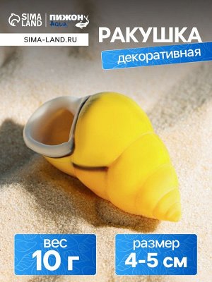 Ракушка декоративная, 4-5 см