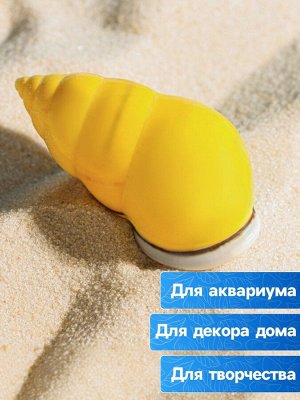 Ракушка декоративная, 4-5 см