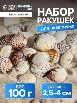Набор ракушек, 2,5 - 4 см, 100 г