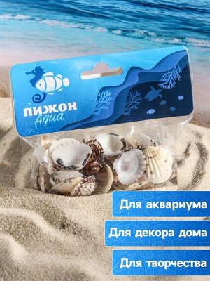 Набор ракушек, 2,5 - 4 см, 100 г