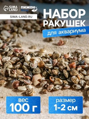 Набор ракушек Умбониум Вестериум, 100 г