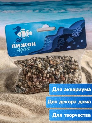 Набор ракушек Умбониум Вестериум, 100 г
