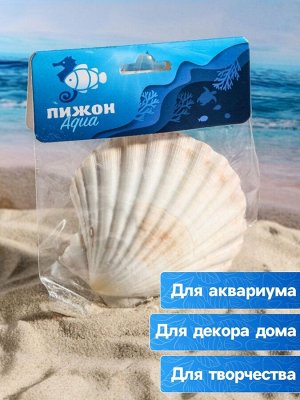 Ракушка декоративная Гребешок, 10-12 см