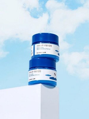 Round Lab Birch Juice Moisturizing Lip Balm Увлажняющий бальзам для губ с березовым соком 20 мл. Ю. Корея