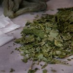 Травы чистые- лист смородины, брусники, липы