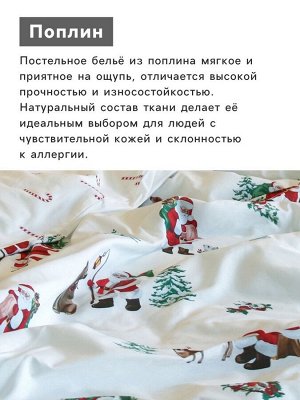 Постельное бельё евро «Этель. Новогодний лес», поплин