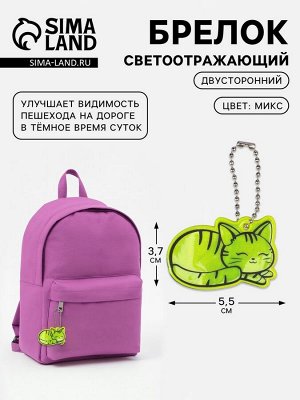 Светоотражающий элемент «Кошечка», двусторонний, 5.5x3.7 см, МИКС
