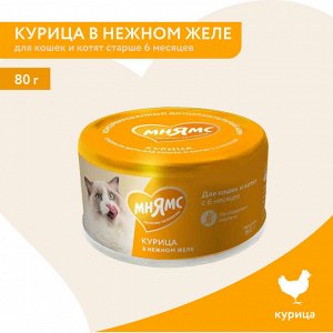 Влажный дополнительный корм Мнямс На каждый день для кошек и котят старше 6 месяцев "курица в нежном желе" 80 г