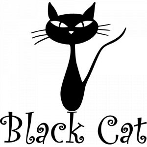 Black cat ~