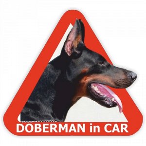 Наклейка Doberman in car