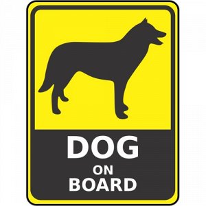 Dog On Board
