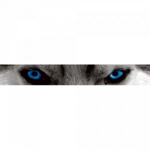 Наклейка Глаза белого волка