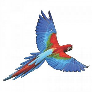 Наклейка Летящий попугай