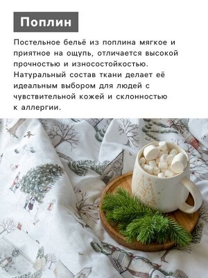 Постельное бельё 2-спальное «Этель» Winter countryside, поплин
