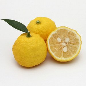 J-Scent W08 Yuzu - парфюмерная вода с освежающим ароматом японского цитруса