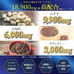 Focus Lab Chu ZONE – комплекс для концентрации, энергии и мотивации с мукуной, GABA и кофеином
