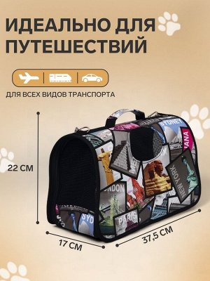 Сумка - переноска для животных "Путешественник", размер S, 37,5 х 17 х 22 см