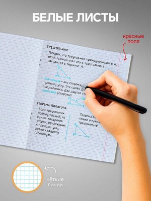 Набор тетрадей, 96 листов в клетку, Calligrata «Смайлики», 4 штуки