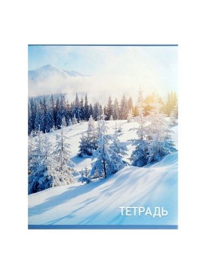 Набор тетрадей, 96 листов в клетку, Calligrata «Природа», серые листы, 4 штуки