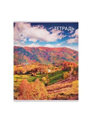Набор тетрадей, 96 листов в клетку, Calligrata «Природа», серые листы, 4 штуки