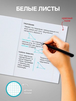Набор тетрадей 48 листов в клетку, Calligrata «Маска», 5 штук