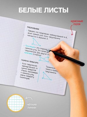 Комплект тетрадей, 48 листов в клетку Calligrata «Фактура», 10 штук