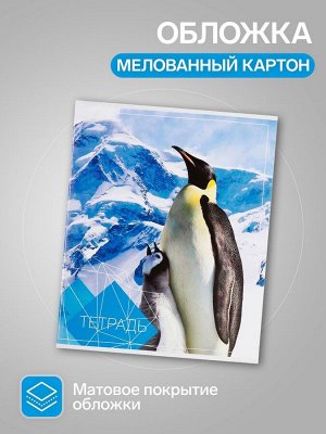 Набор тетрадей, 96 листов в клетку, Calligrata «Животные», серые листы, 4 штук