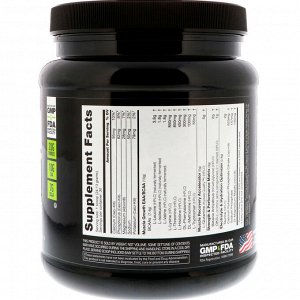 NutraBio Labs, Intra Blast, питание для мышц во время тренировки, апельсин и манго, 724 г (1,6 фунта)