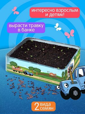 Набор для опытов Синий Трактор «Мой мини сад»