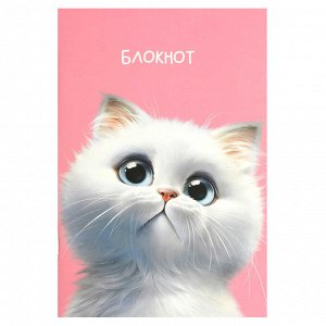 Блокнот, 120х185 мм, 40 л, вн.блок - точка, пленка софт тач вельвет, мягкий переплёт (2 скобы)
