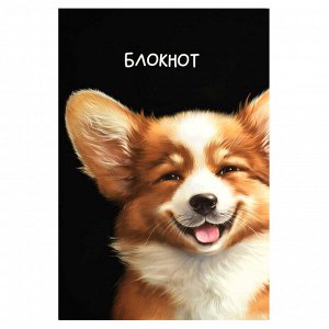 Блокнот, 120х185 мм, 40 л, вн.блок - точка, пленка софт тач вельвет, мягкий переплёт (2 скобы)