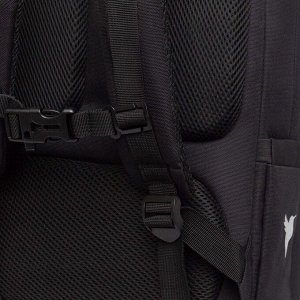 Рюкзак школьный GRIZZLY с карманом для ноутбука 13", двумя отделениями, анатомической спинкой, для девочки