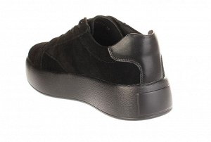Дерби Baden EG024-011