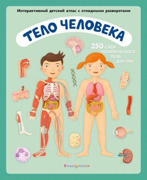 Олдрих Ружичка. Тело человека. Интерактивный детский атлас с откидными разворотами