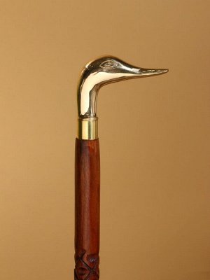Трость «Селезень», шишам, латунь, 95 см