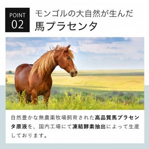 KISO Care Placenta Essence PC – эссенция с 100% лошадиной плацентой, для борьбы с пигментными пятнами и тусклым цветом кожи