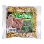 Семена &quot;Травка для проращивания&quot;, пакет, 20 г