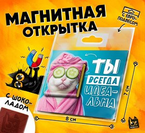 Магнитная открытка, ТЫ ИДЕАЛЬНА, молочный шоколад, 5 г., TM Prod.Art