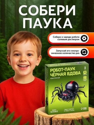 Робот паук «Чёрная вдова» Эврики, конструктор, 43 детали, на воде с солью