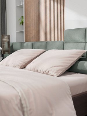 Постельное бельё Этель 2сп Tencel 180*210см, 220*245см, 50*70см-2шт, цвет бежевый