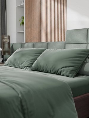 Постельное бельё Этель 2сп Tencel 180*210см, 220*245см, 50*70см-2шт, цвет оливковый