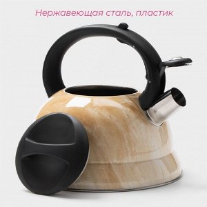 Чайник со свистком из нержавеющей стали Доляна «Скоттиш», 2,8 л