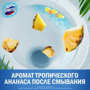 Доместос Блок для унитаза Power 5 "Цитрус + Цветочный букет" 2 х 50 г + 3 х 50 г